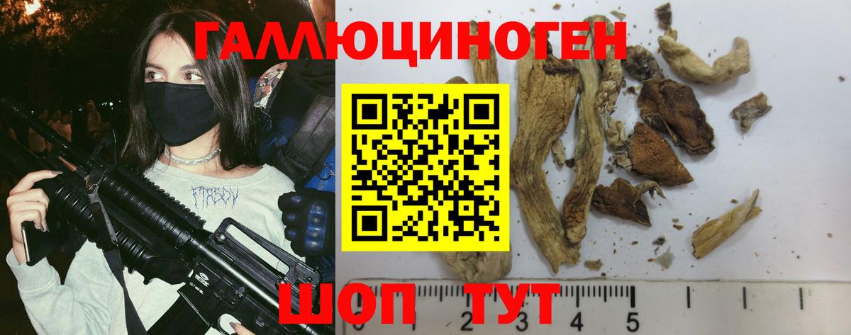Псилоцибиновые грибы ЛСД Абинск